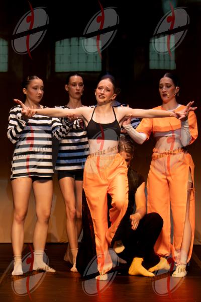 SHOW_01217.jpg